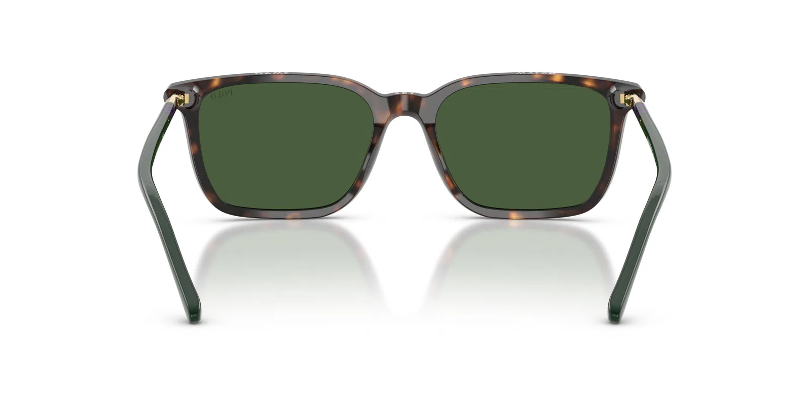 Polo 4226 Sunglasses - Shiny Dark Havana - view 4